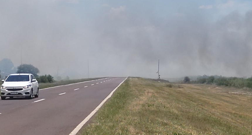 Incendio forestal sobre Ruta Nacional N° 16