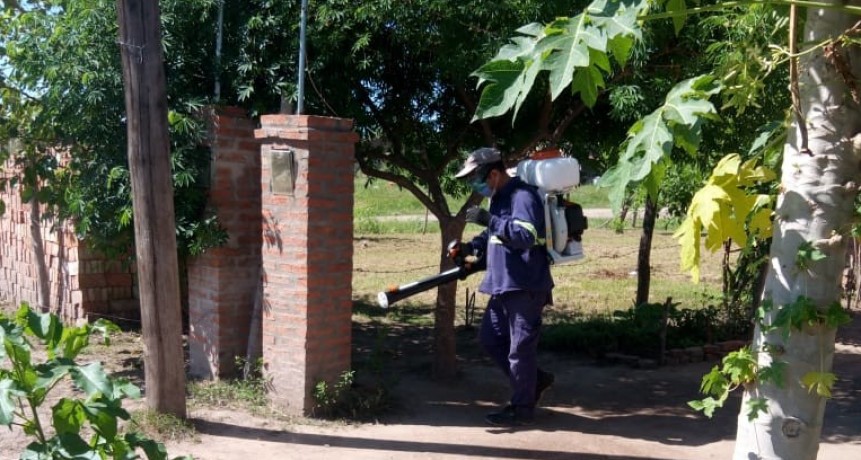 Dengue: Preocupa el aumento de casos 