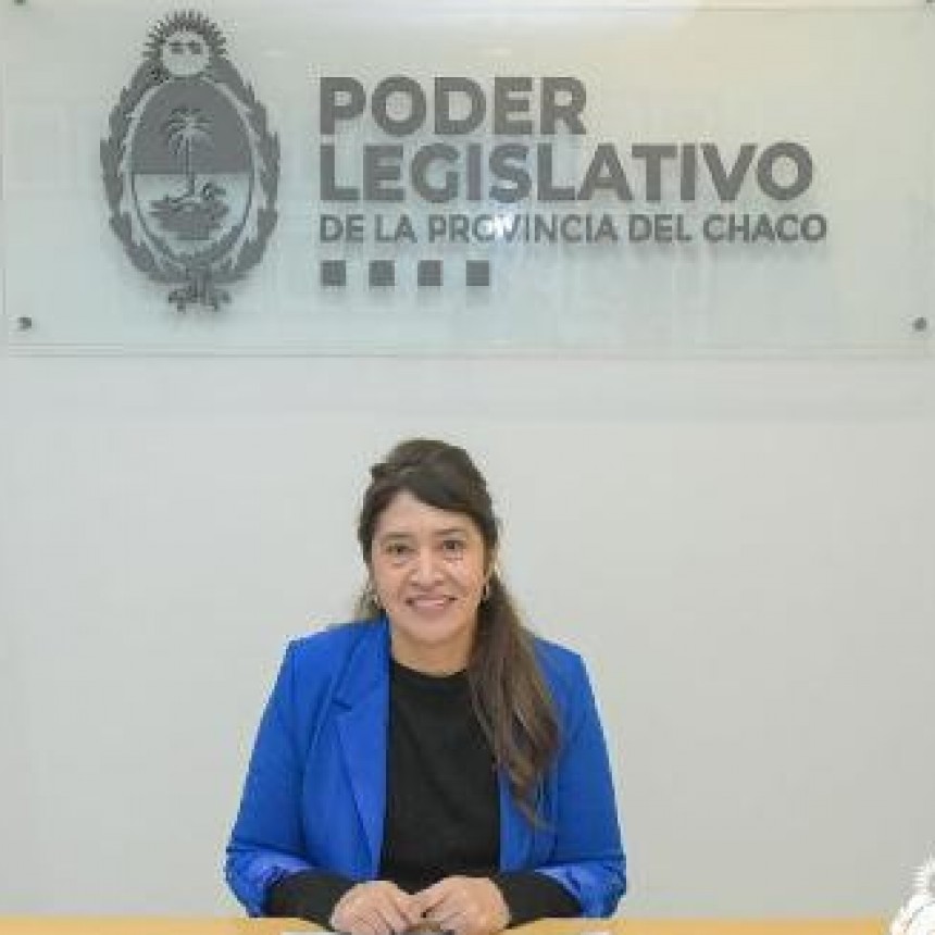 El Poder Legislativo lanzó la convocatoria para el Premio Profesor Juan Chico 2024